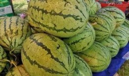 全民吃瓜 今日看料,今日看料，揭秘娱乐圈最新热点