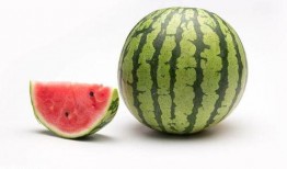 51热门大瓜今日大瓜最新,今日大瓜新鲜出炉，揭秘娱乐圈最新热点！